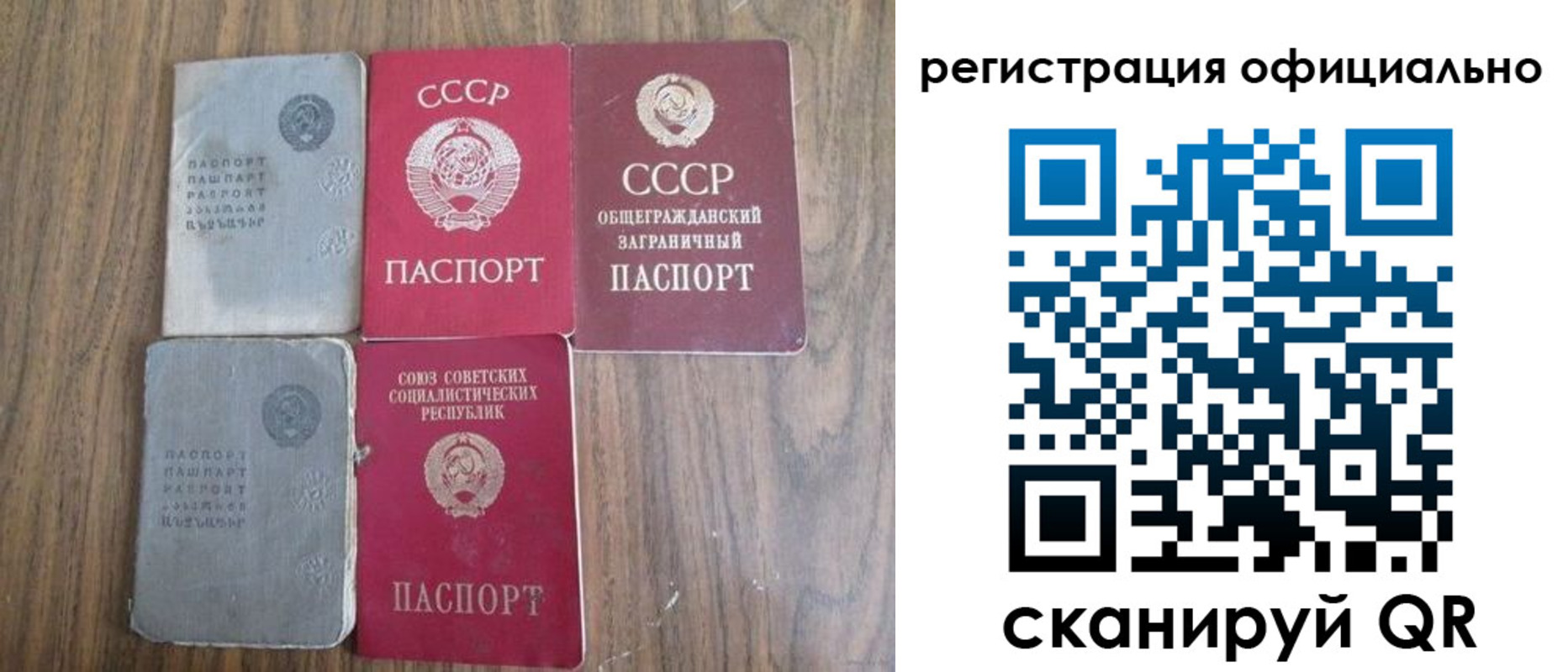 прописка ребенка в Мончегорске