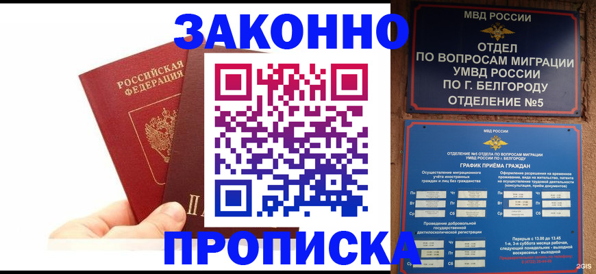 временная регистрация для школы в Мончегорске